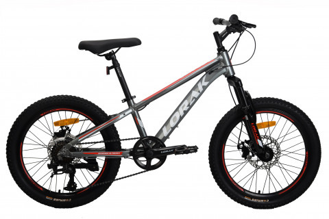 LORAK Safe 20 Серый/Красный