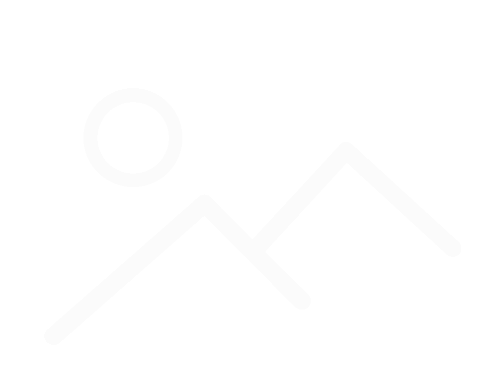 Десна Вояж Lady 28 Z010